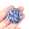 Natural Blue Spot Jasper Carved Healing Shell Shape Figurines PW-WG72799-04-1