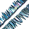 Electroplated Natural Freshwater Shell Beads SHEL-N026-197B-1