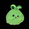 Luminous Resin Rabbit Ornament CRES-M020-03F-3