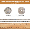 Faceted Round Natural Labradorite Bead Strands G-AR0002-72-2