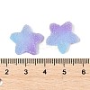 Imitation Candy Food Style Resin Cabochons RESI-R461-02N-3