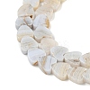 Natural Blue Lace Agate Beads Strands G-NH0001-B02-01-4