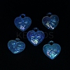 Luminous UV Plating Transparent Acrylic Pendants OACR-P010-10C-4