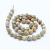 Natural Fossil Coral Beads Strands G-F523-23-8mm-2