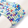 Handmade Czech Lampwork Beads Strands LAMP-L078-008M-1