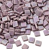 MIYUKI TILA Beads X-SEED-J020-TL410FR-4