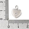 925 Sterling Silver Micro Pave Clear Cubic Zirconia Charms STER-V001-01P-06-3