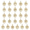 Brass Micro Pave Clear Cubic Zirconia Pendants KK-L253-16G-1