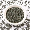 MIYUKI Delica Beads SEED-X0054-DB0024-2