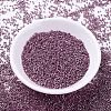 MIYUKI Delica Beads SEED-MY11-DB1848-2