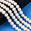 Natural Cultured Freshwater Pearl Beads Strands X-PEAR-N013-07N-2