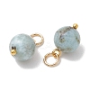 Natural Larimar Pendants PALLOY-JF05255-3