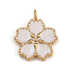 304 Stainless Steel Pendants Ion Plating(IP) STAS-C143-01C-G-1