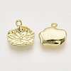 Alloy Charms PALLOY-S121-173-2