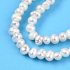 Natural Cultured Freshwater Pearl Beads Strands PEAR-N013-02I-01-4