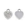 304 Stainless Steel Charms LS-STAS-N095-142-2