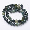 Natural Moss Agate Beads Strands X-GSR001-3