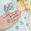 WADORN 20Pcs 4 Styles Natural Abalone Shell/Paua Shell Cabochons SHEL-WR0001-07-3