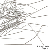 50Pcs 304 Stainless Steel Flat Head Pins STAS-YW0002-73B-1