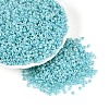 Glass Seed Beads SEED-A011-3mm-154-1