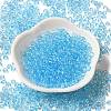 Transparent Colours Glass Seed Beads SEED-P007-02A-10-2