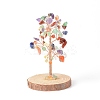 Natural Gemstone Chips with Brass Wrapped Wire Money Tree on Wood Base Display Decorations DJEW-B007-05A-1