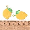 Alloy Enamel Pendants AL-CBA1DF6-02G-2