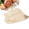 Oval Cellulose Acetate Claw Hair Clips PW-WGE447D-02-1