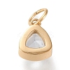 PVD Vacuum Plating 304 Stainless Steel Cubic Zirconia Pendant ZIRC-P080-A06-2