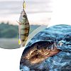60Pcs 6 Style Iron Fishing Lures IFIN-FH0001-63-6