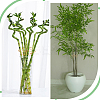 Iron Planters AJEW-WH0270-702-5