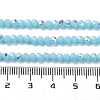 Opaque Glass Beads Strands EGLA-A035-P3mm-L08-4