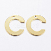 304 Stainless Steel Charms LS-X-STAS-P141-C-1