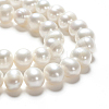 Natural Cultured Freshwater Pearl Beads Strands PEAR-F007-19-4