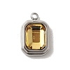 304 Stainless Steel Glass Pendants STAS-L022-062P-05-1