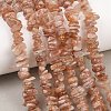 Natural Gold Spot Sunstone Beads Strands G-G464-B01-01-1