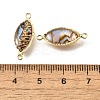 Brass Pave Natural Paua Shell Connector Charms KK-E794-01G-09-3