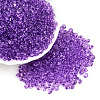 3/0 Baking Paint Glass Fringe Seed Beads SEED-A034-04F-3