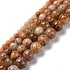 Natural Flower Agate Beads Strands G-B044-A01-02-1