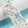 Natural Howlite Beads Strands G-M420-H14-03-2