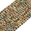 Natural Picasso Stone/Polychrome Jasper Beads Strands G-C116-A84-02-2