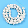 Natural Cultured Freshwater Pearl Beads Strands PEAR-N012-07X-01-4
