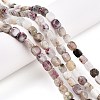 Natural Plum Blossom Tourmaline Beads Strands G-T141-12A-2