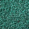 12/0 Grade A Round Glass Seed Beads SEED-Q007-F50-2