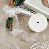 1 Rolls Sheer Organza Ribbon SRIB-CY0001-22B-03-4
