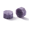 Sealing Wax Particles DIY-B003-07-2