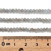 Natural Angelite Beads Strands G-RM2025-16-3mm-5