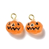 Halloween Pumpkin Opaque Resin Charms LS-RESI-B010-02-1