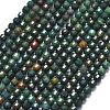 Natural Bloodstone/Heliotrope Stone Beads Strands G-A260-A40-01-2