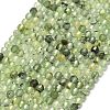 Natural Prehnite Beads Strands G-A260-A34-01-2